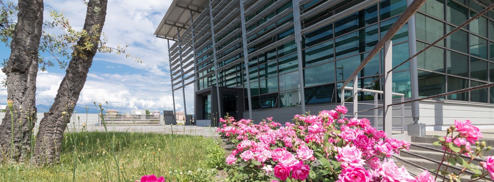 L'ingresso vetrato della sede di Sistema Spedizioni all'interporto di Pordenone, con un'aiuola fiorita in primo piano